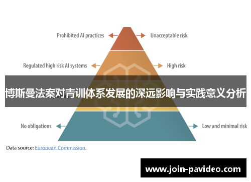 博斯曼法案对青训体系发展的深远影响与实践意义分析 博斯曼法案对青训体系发展的深远影响与实践意义分析