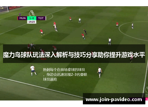 魔力鸟球队玩法深入解析与技巧分享助你提升游戏水平