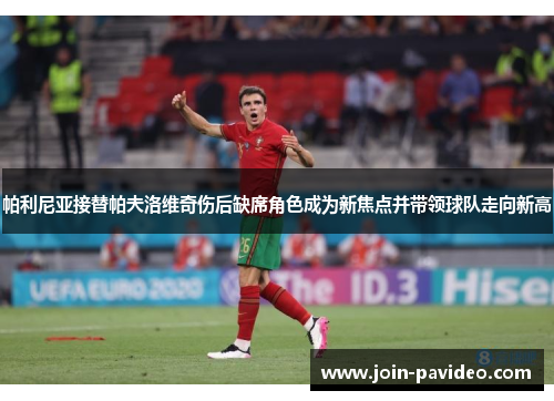 帕利尼亚接替帕夫洛维奇伤后缺席角色成为新焦点并带领球队走向新高